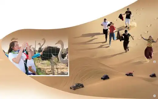 沙漠旅游新体验_巴丹吉林沙漠旅游_沙漠艺术雕塑公园