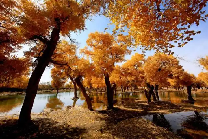 额济纳胡杨林旅游_巴丹吉林沙漠旅游_内蒙古自驾游线路