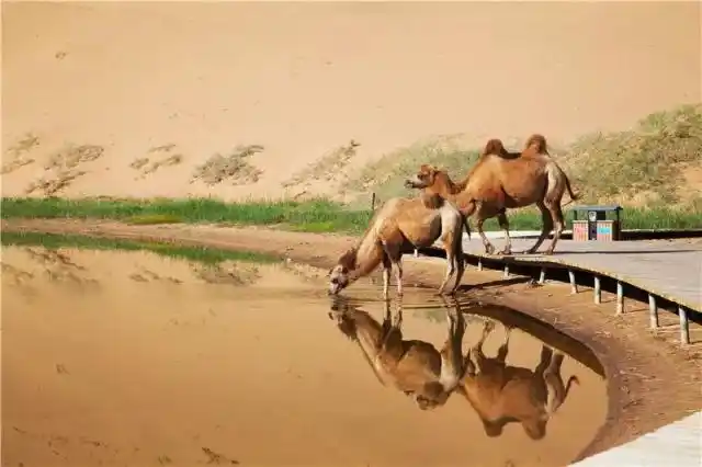 巴丹吉林沙漠旅游攻略_阿拉善巴丹吉林沙漠景点介绍_巴丹吉林沙漠旅游