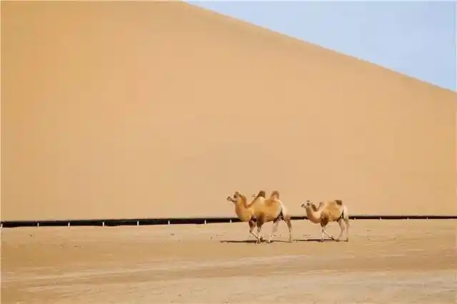 巴丹吉林沙漠旅游_巴丹吉林沙漠旅游攻略_阿拉善巴丹吉林沙漠景点介绍