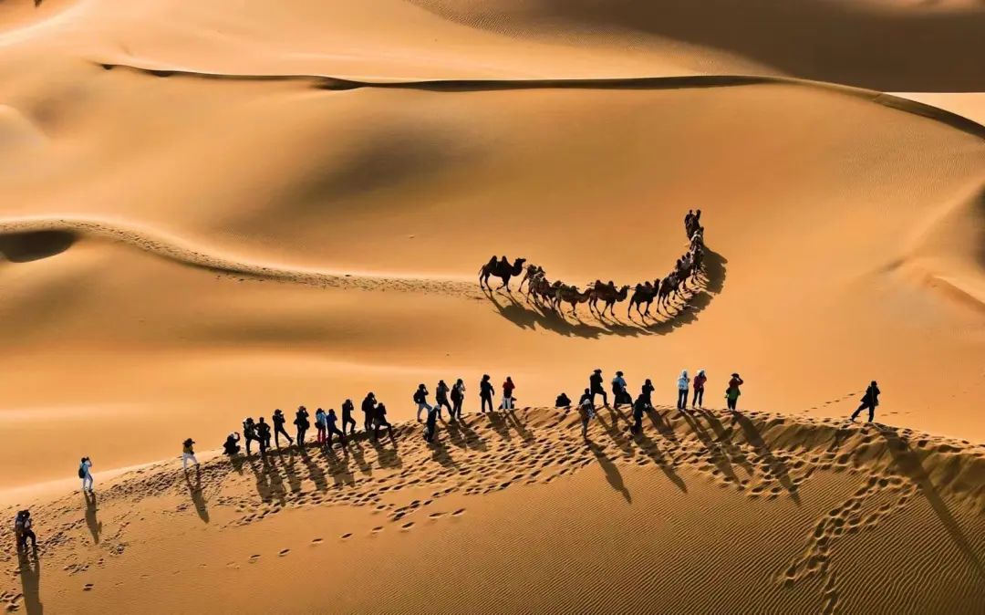 金昌沙漠旅游摄影打卡景点_巴丹吉林沙漠九棵树景区摄影采风_巴丹吉林沙漠旅游