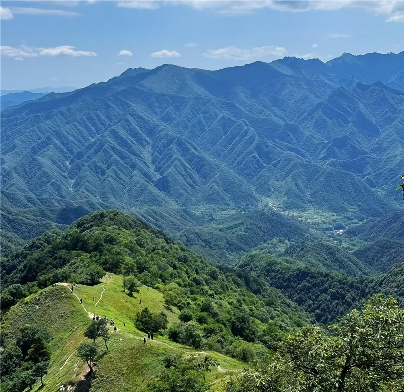 恋之坊土蜂蜜品质_灵芝加蜂蜜能储存多久_秦岭土蜂蜜