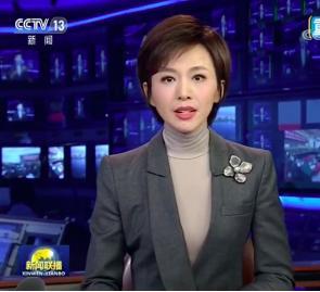 欧阳夏丹个人经历_欧阳夏丹个人图片库_央视主持人欧阳夏丹