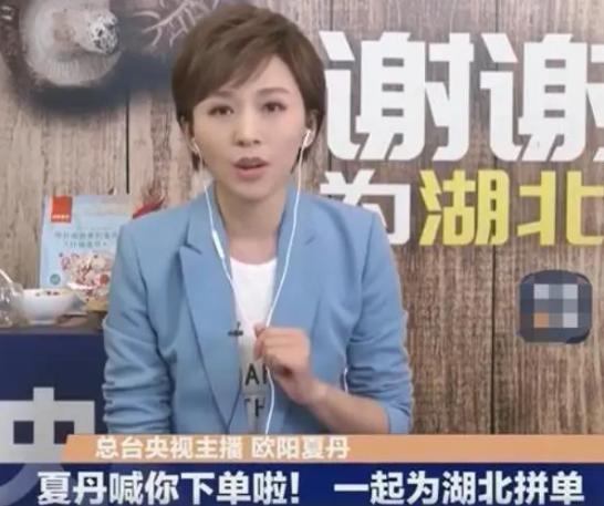 欧阳夏丹放弃央视工作陪伴病母原因_欧阳夏丹央视主持人生涯经历_欧阳夏丹个人图片库