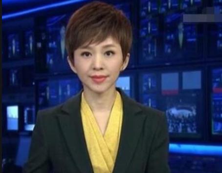 欧阳夏丹 新闻联播 主持人_欧阳夏丹个人图片库