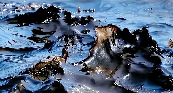 美国页岩油储量_页岩油开发美国与中国对比_中国页岩油产业发展现状与挑战