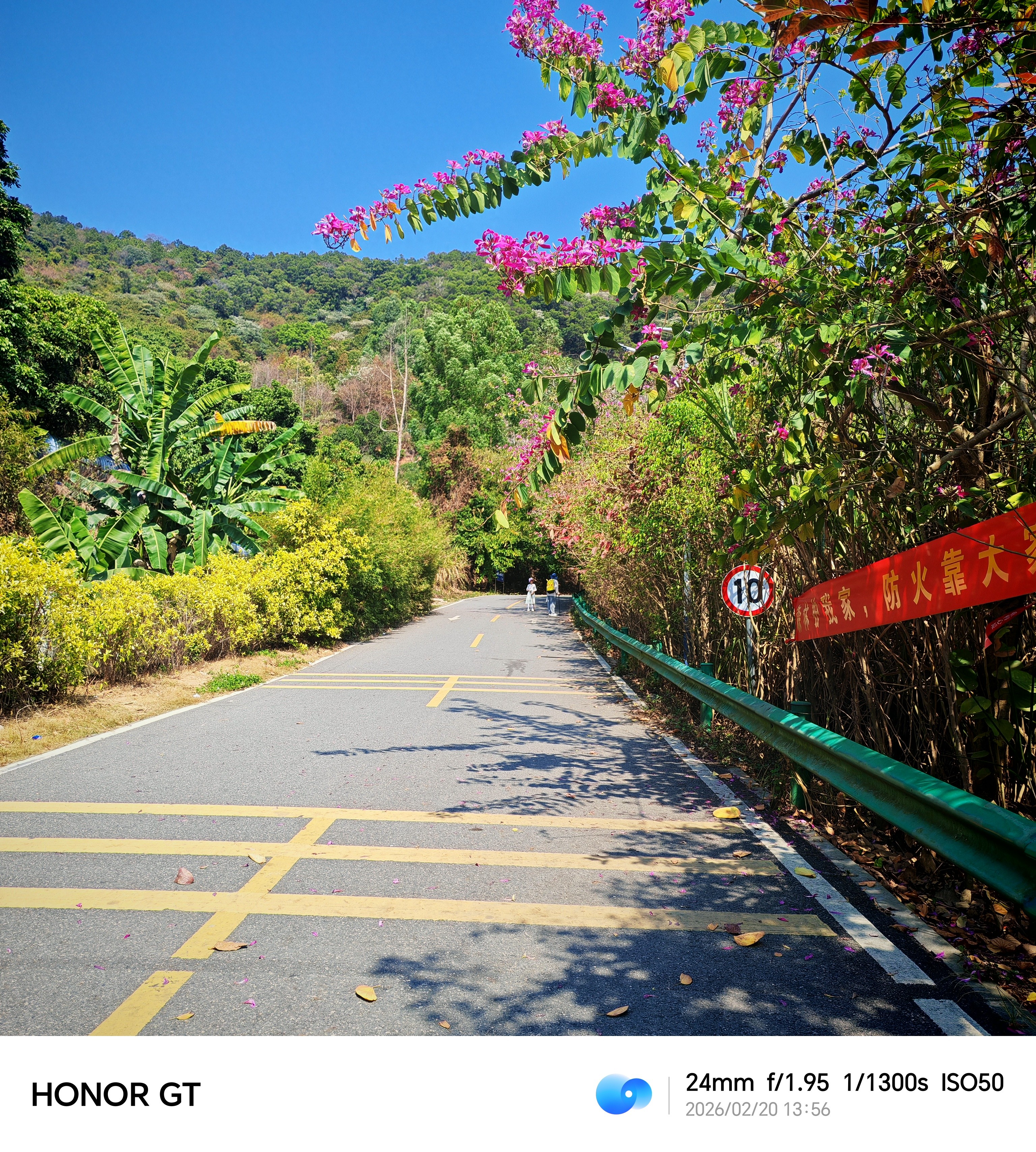 南香山徒步趣味与挑战_有人去过罗通山吗_南香山不同路线选择