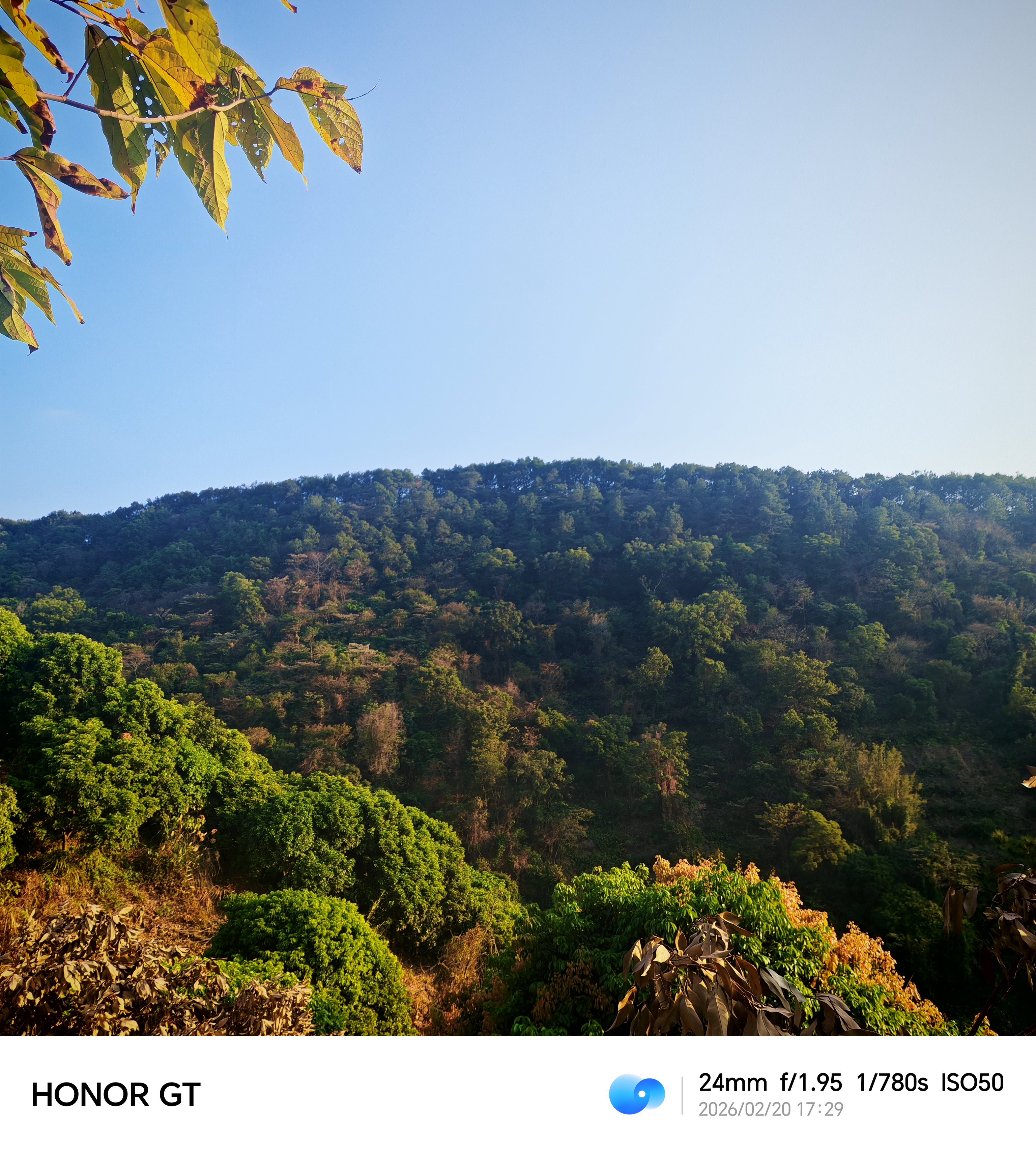 有人去过罗通山吗_南香山徒步趣味与挑战_南香山不同路线选择