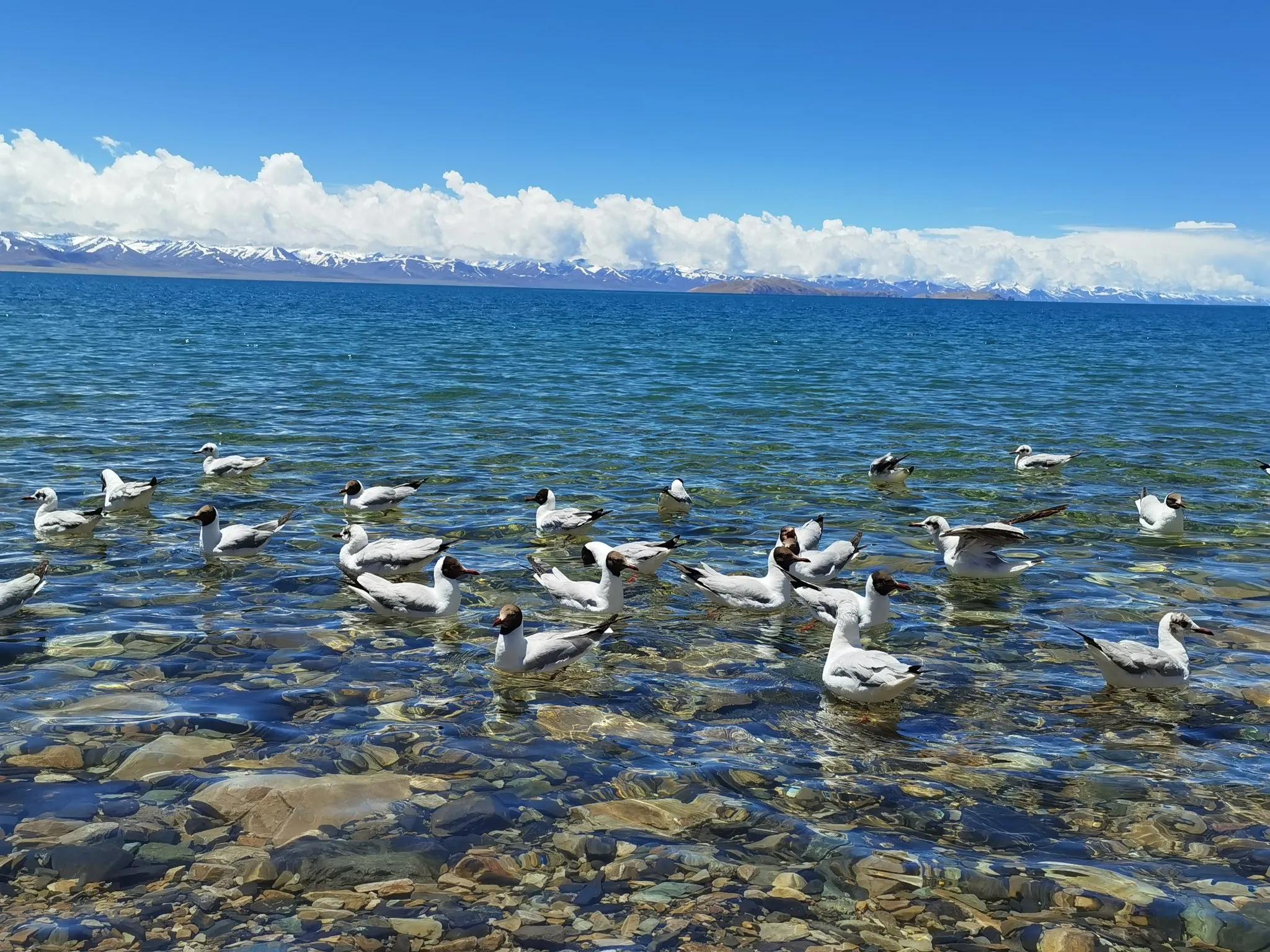 纳木错旅游_纳木错一日游攻略_纳木错旅游体验分享