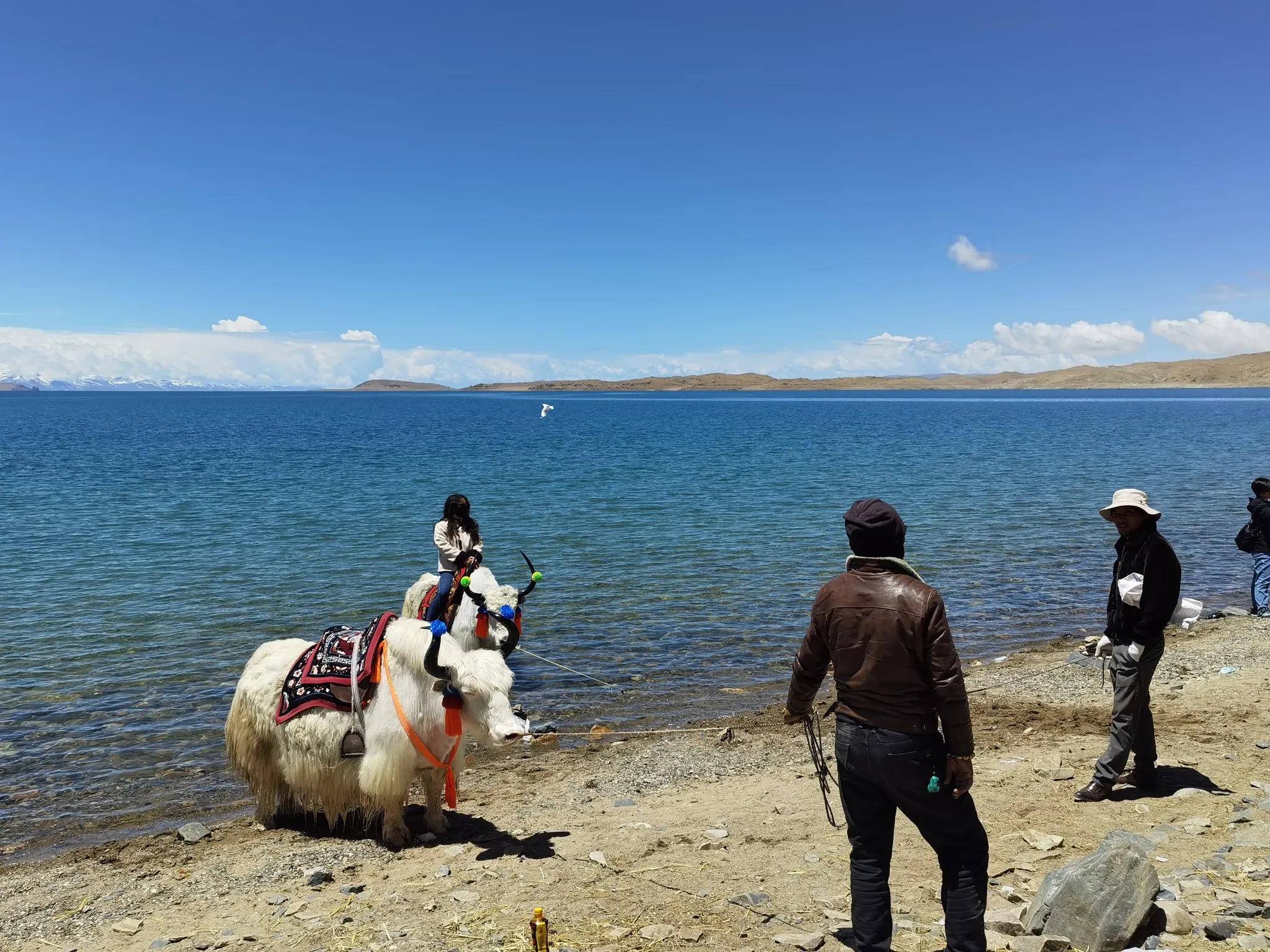 纳木错一日游攻略_纳木错旅游体验分享_纳木错旅游