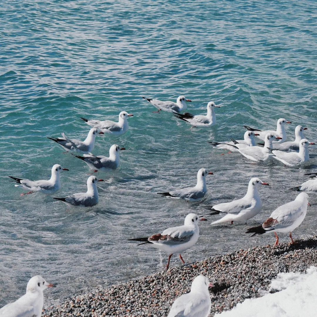 纳木错旅游_纳木错冬天旅游攻略_冬天去西藏旅游