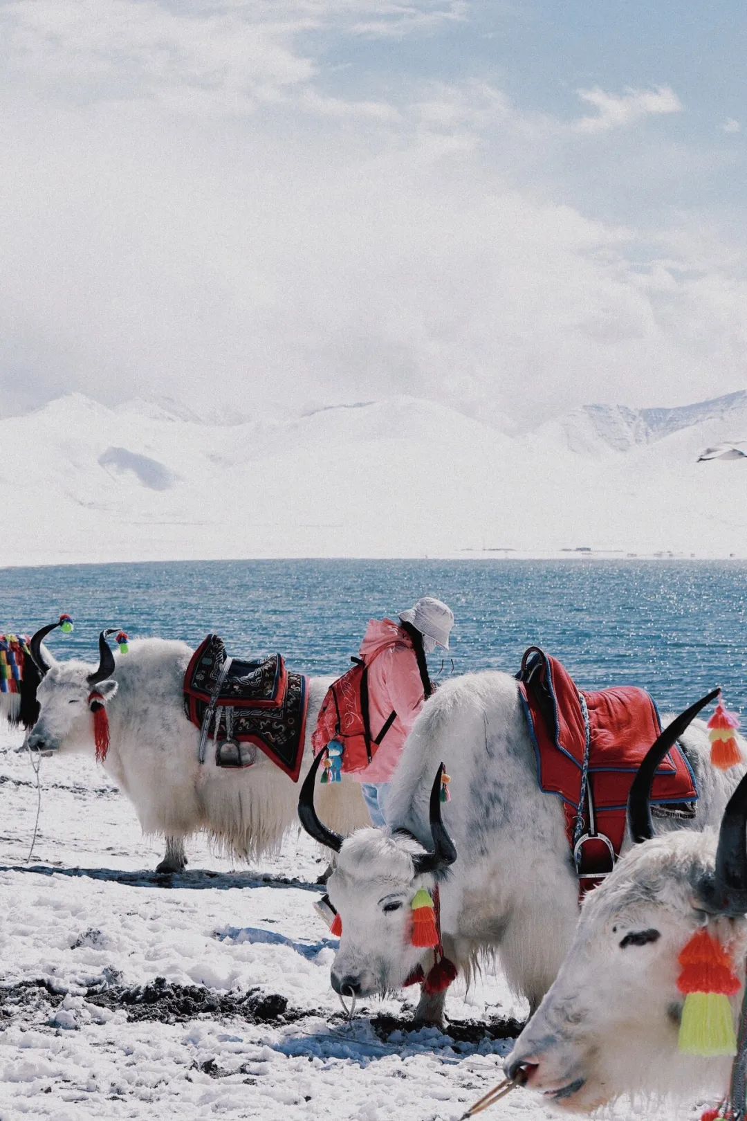 冬天去西藏旅游_纳木错冬天旅游攻略_纳木错旅游