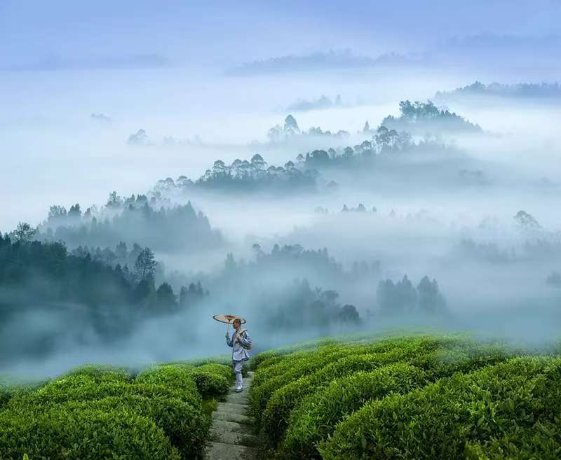 峨眉山仙峰寺茶会_峨眉山文化遗产保护_一线天 峨眉山