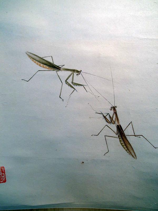 齐良芷题鉴齐白石真迹_齐白石的松柏高立图_齐白石传人汤发周