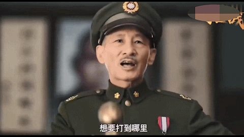 白客蒋介石演技评价_央视历史剧选角_张国立演蒋介石的电影