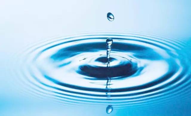 猪场水质检测_猪饮水系统优化_猪喝水的水嘴离地多高