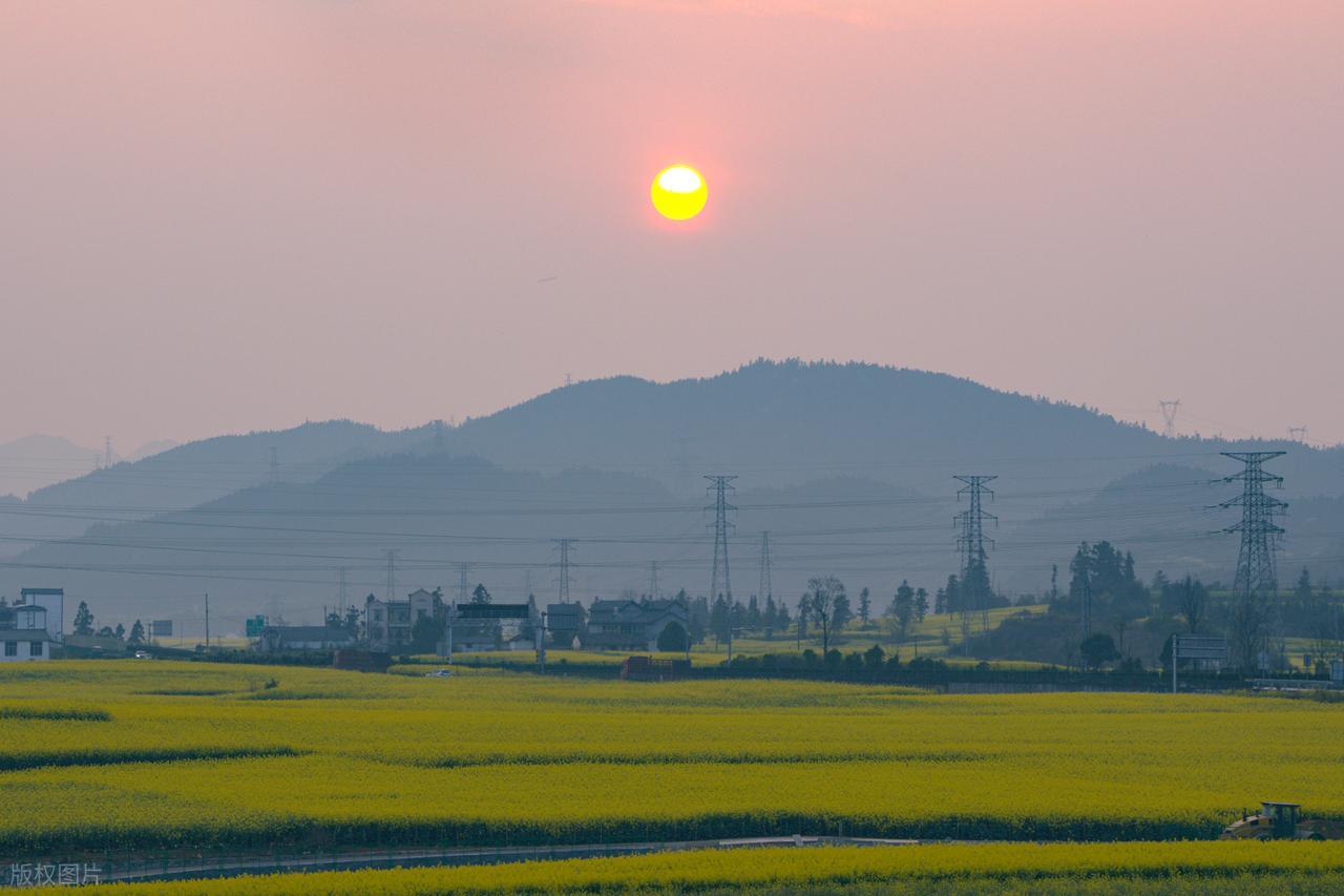 玫瑰精油怎样使用好_面霜补水锁水护肤油封闭保护膜_根据肤质选择基底油角鲨烷玫瑰果油霍霍巴油月见草油