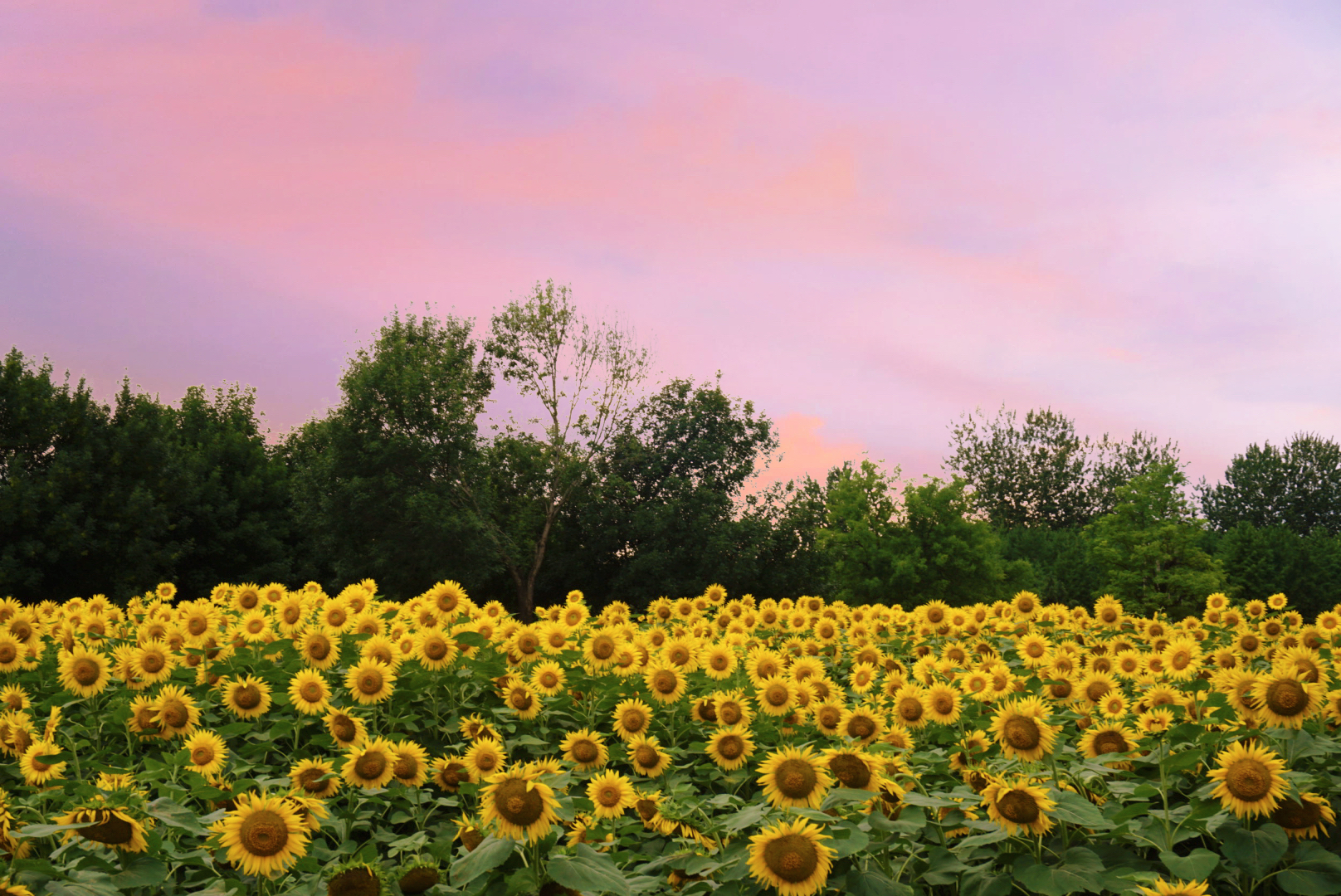 北京冬奥会特色场馆_北京冬奥会筹办情况_奥林匹克运动会赛事