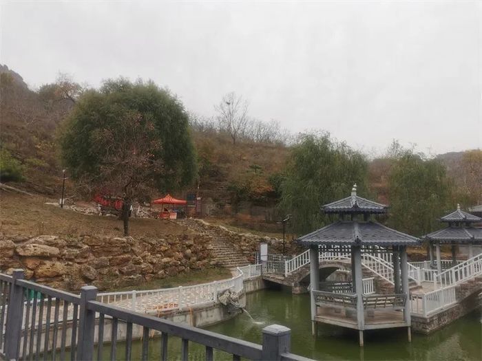 古槐、古皂荚、古榆、古银杏，2023年济南添20处“古树保护园”