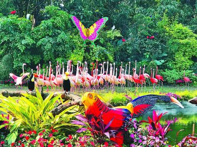 中国南方春节旅游景点推荐_南宁市二日游必去景点_南方春节赏花攻略