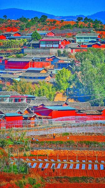 南宁市二日游必去景点_中国南方春节旅游景点推荐_南方春节赏花攻略