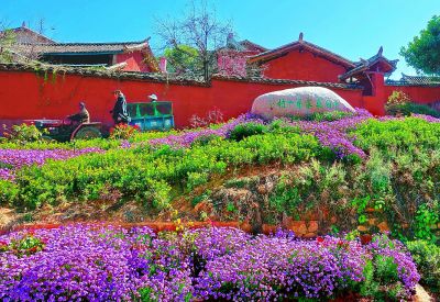 中国南方春节旅游景点推荐_南宁市二日游必去景点_南方春节赏花攻略