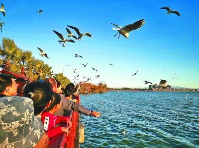南宁市二日游必去景点_南方春节赏花攻略_中国南方春节旅游景点推荐