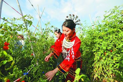 南方春节赏花攻略_中国南方春节旅游景点推荐_南宁市二日游必去景点