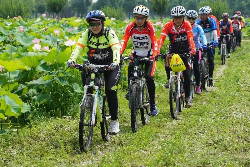 南阳生态文明促进会荣誉_南阳生态文明促进会_南阳市生态文明促进会