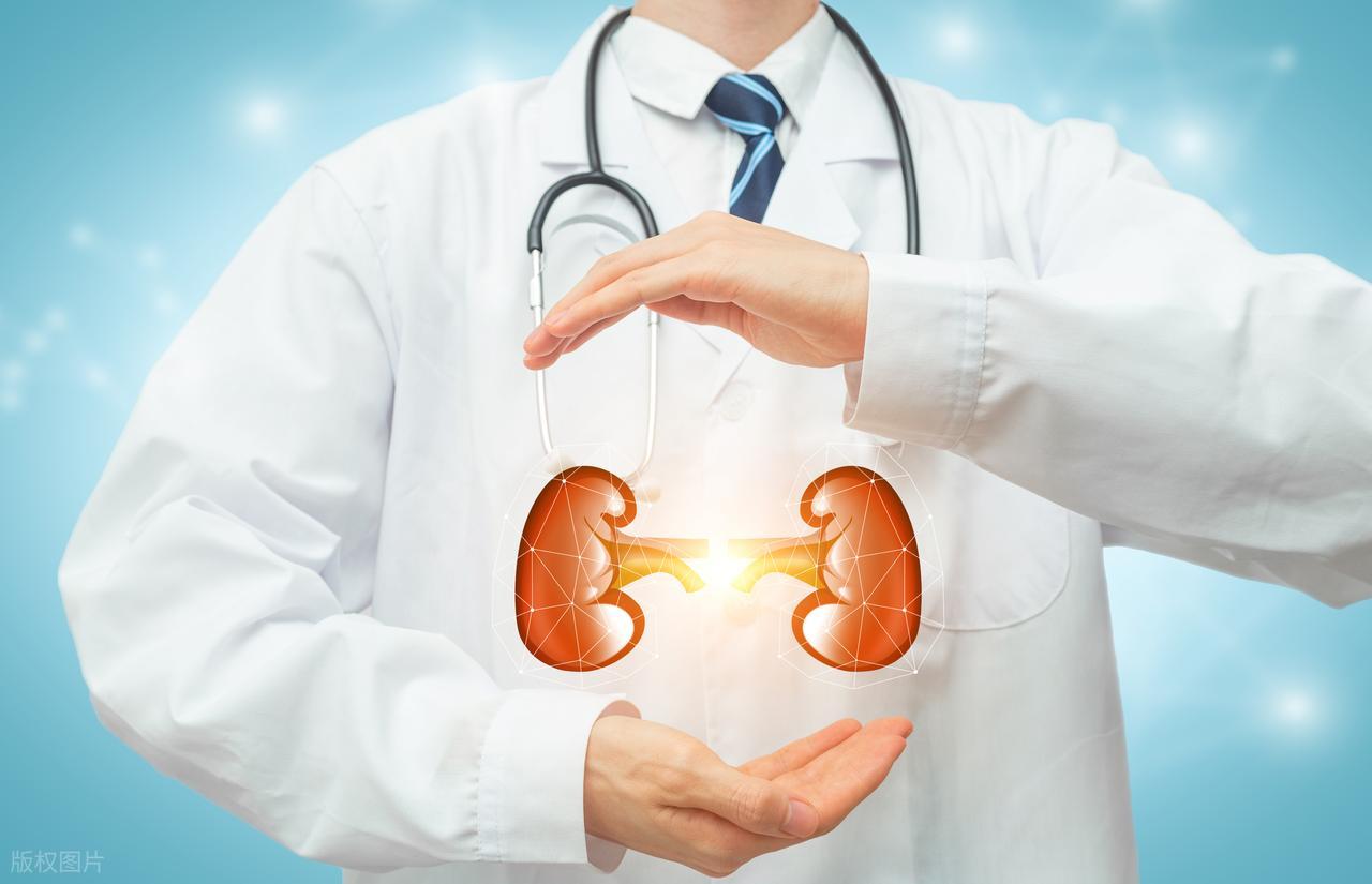 高盐高磷高嘌呤食物伤肾_肾小球硬化多少会肾衰_加工肉制品加速肾损伤