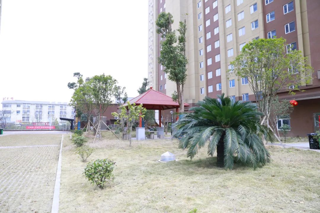 湖南公租房申请条件_金溪县公租房人员名单_金溪湾小区二期公租房