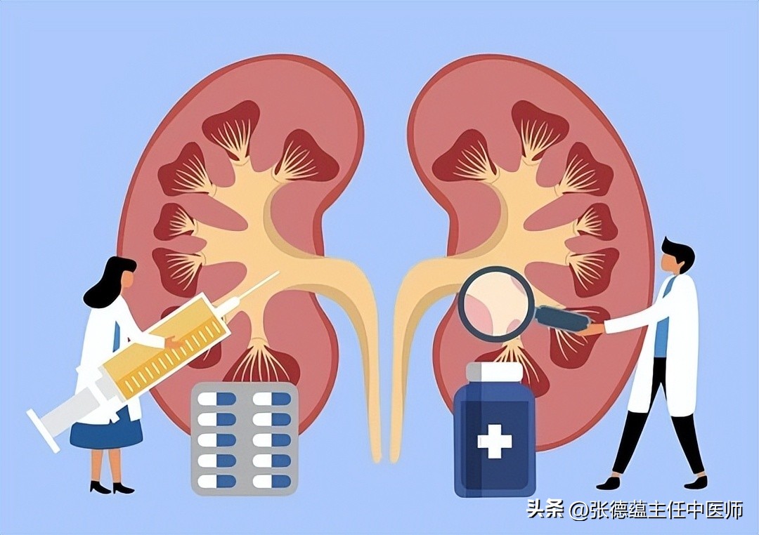 高血压肾损害中西医结合治疗_肾小球硬化多少会肾衰_良性肾小球动脉硬化症