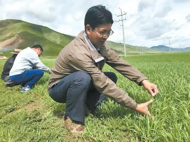 果洛州生态畜牧业_果洛脱贫攻坚 生态畜牧业 合作扶贫项目