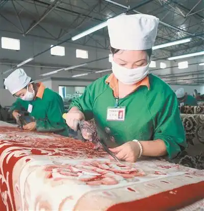 生态畜牧业合作社 牦牛产业发展 青海牦牛产业_果洛州生态畜牧业