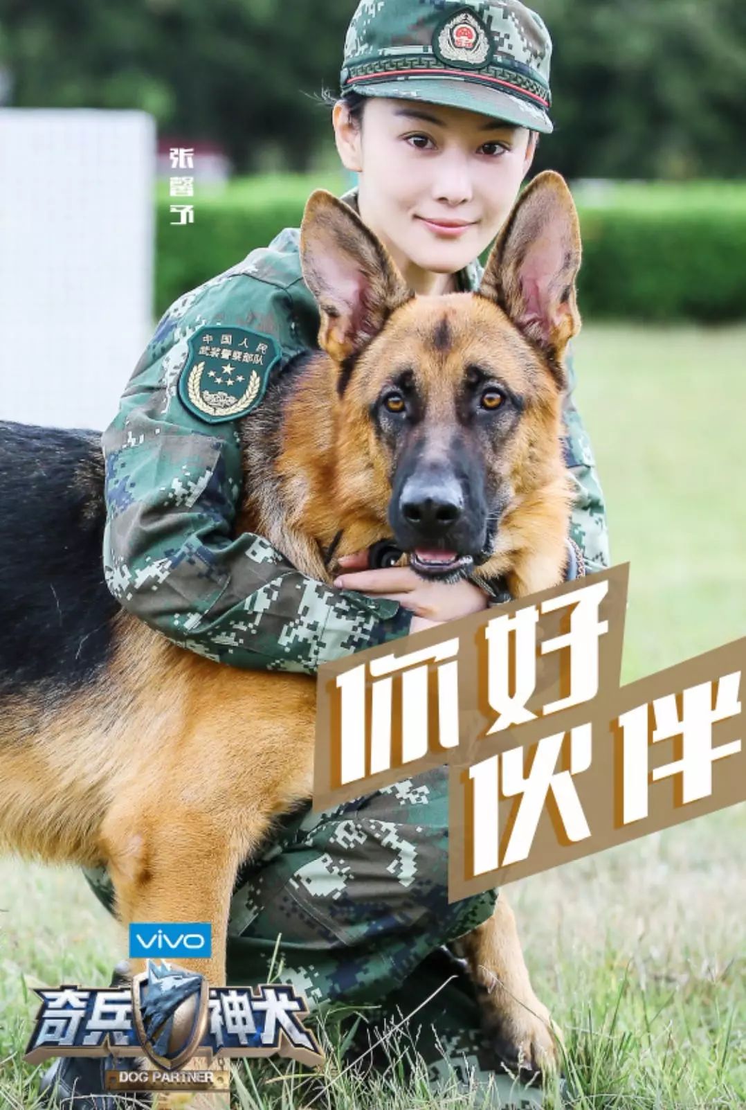 真正男子汉坦克部队_真人秀军事综艺节目推荐_军事综艺节目发展历程