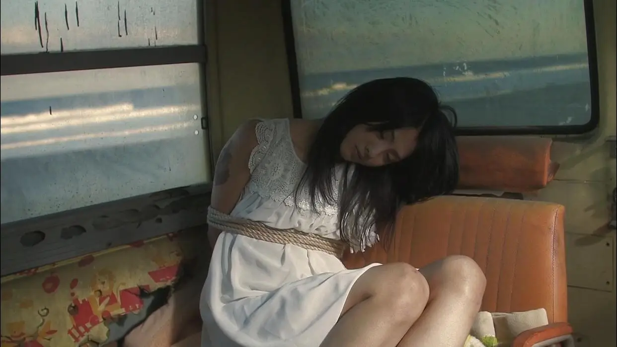 园子温 日本电影 惊悚电影_园子温染谷