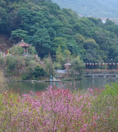 永春县云河谷景点介绍_永春云河谷门票多少钱_永春县牛姆林生态旅游区