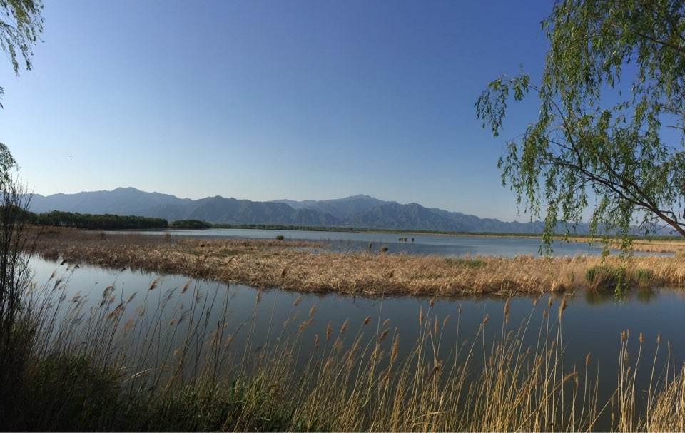通州大运河湿地公园_北京野鸭湖国家湿地公园_北京野鸭湖门票价格