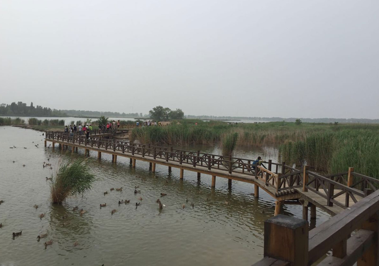 北京野鸭湖门票价格_通州大运河湿地公园_北京野鸭湖国家湿地公园