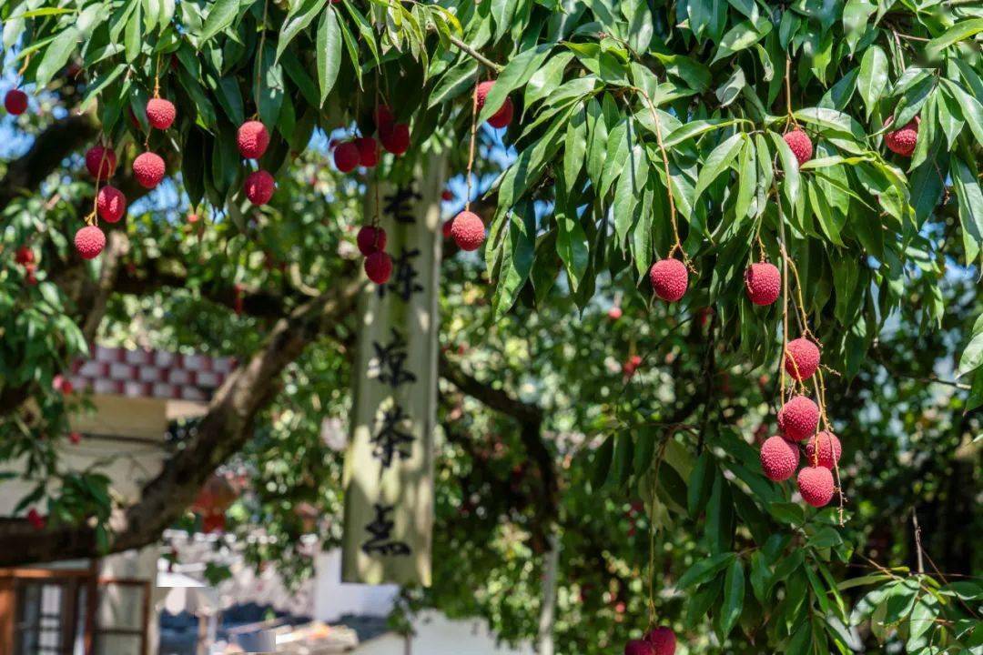 永春云河谷门票多少钱_永春五一旅游攻略_北溪文苑