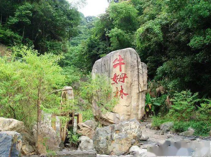 北溪文苑_永春五一旅游攻略_永春云河谷门票多少钱