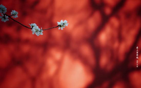 中国传统美学用_中国红历史_中国传统色