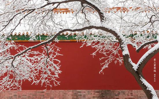 中国传统色_中国红历史_中国传统美学用