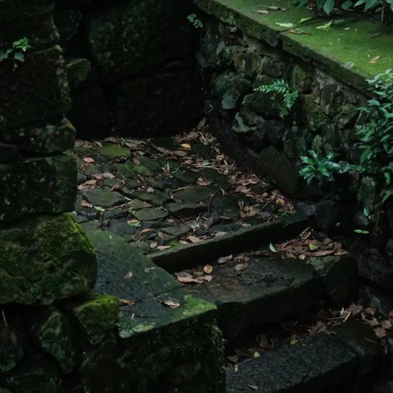 图片来源微博@考拉koala-J