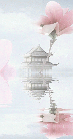 图片来源微博@朴缜