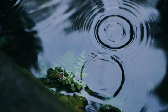 图片来源微博@鹿子先森Hugsy