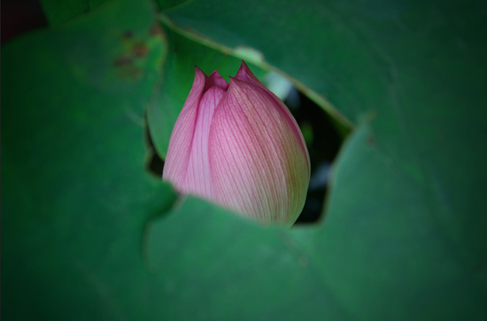 图片来源500px@Yun Wei