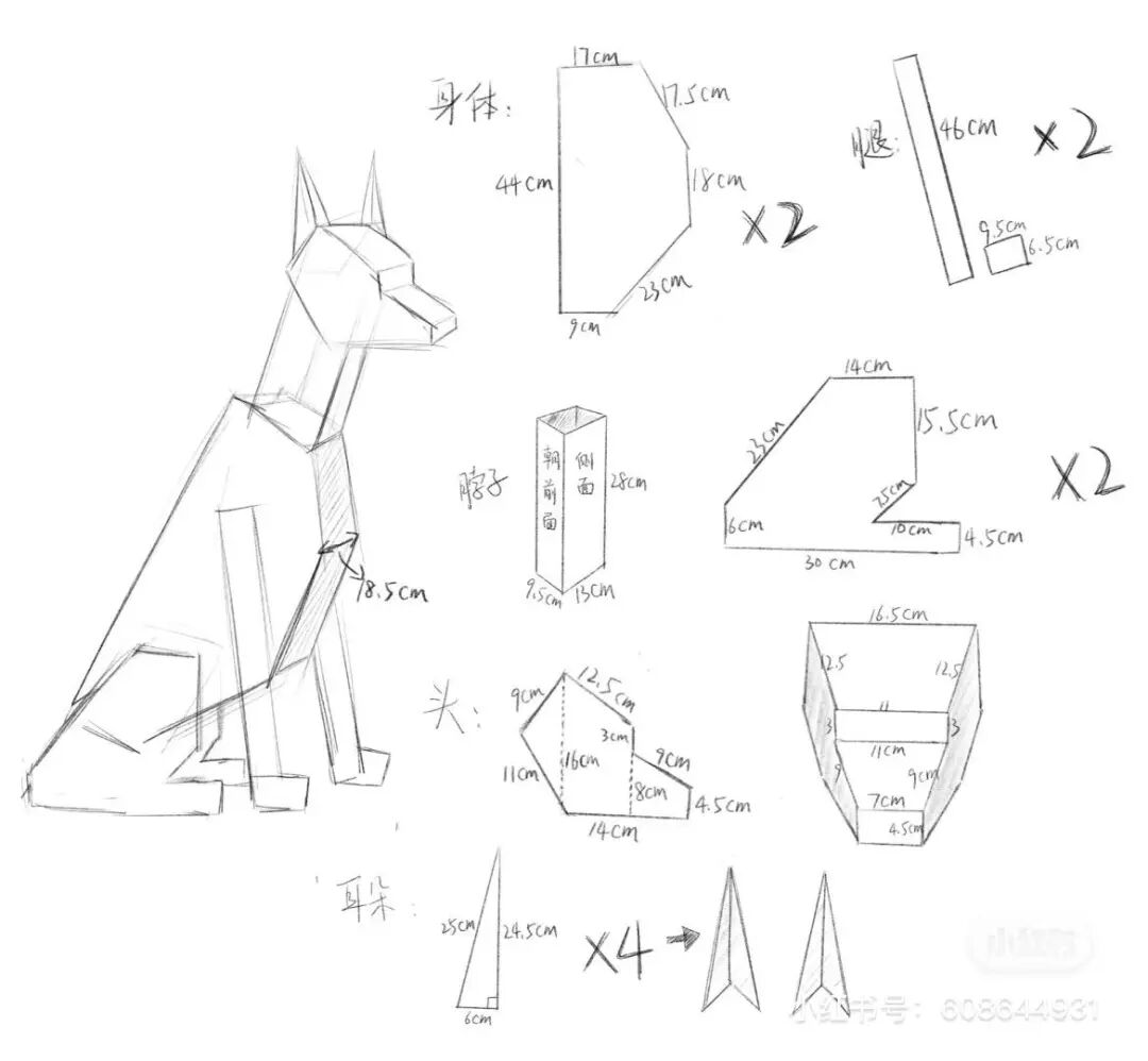 大学生制作纸壳宠物_高校流行纸壳宠物_宠物包毛纸有什么用