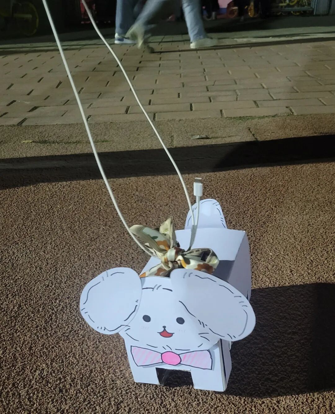 宠物包毛纸有什么用_大学生制作纸壳宠物_高校流行纸壳宠物