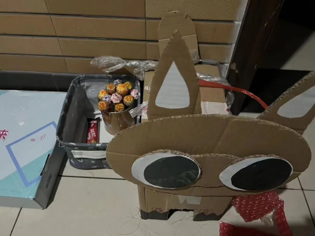 高校流行纸壳宠物_大学生制作纸壳宠物_宠物包毛纸有什么用